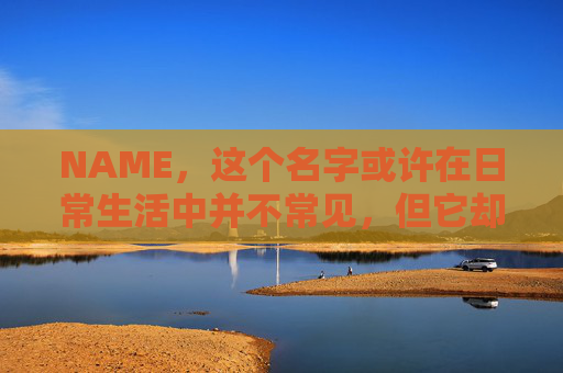 NAME，这个名字或许在日常生活中并不常见，但它却在某些领域里扮演着重要的角色。今天，让我们一起来探索这个名字背后的故事和意义